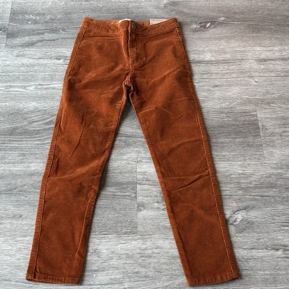 Zara Burnt Orange Skinny Pants - Picture 1 of 3